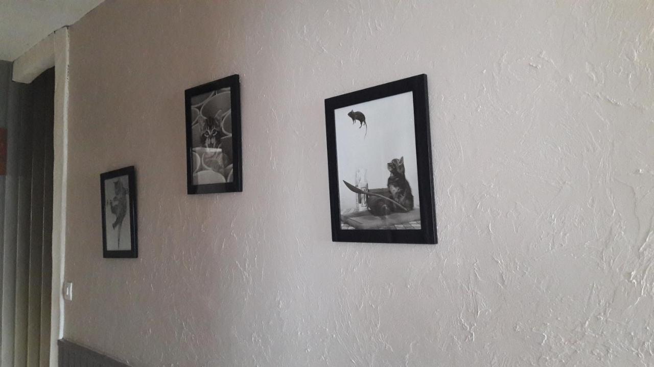 Chambre D'Hote - La Ruche Des Bleuets ミュルザンヌ エクステリア 写真